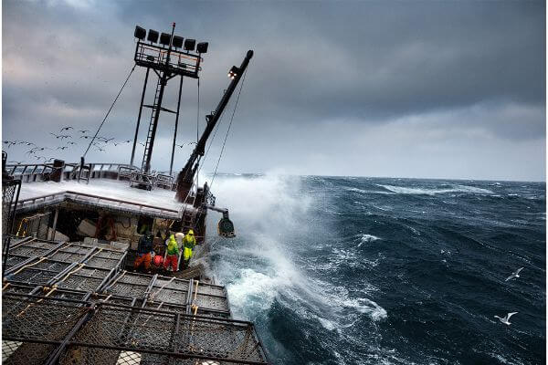 cua hoàng đế alaska hà nội